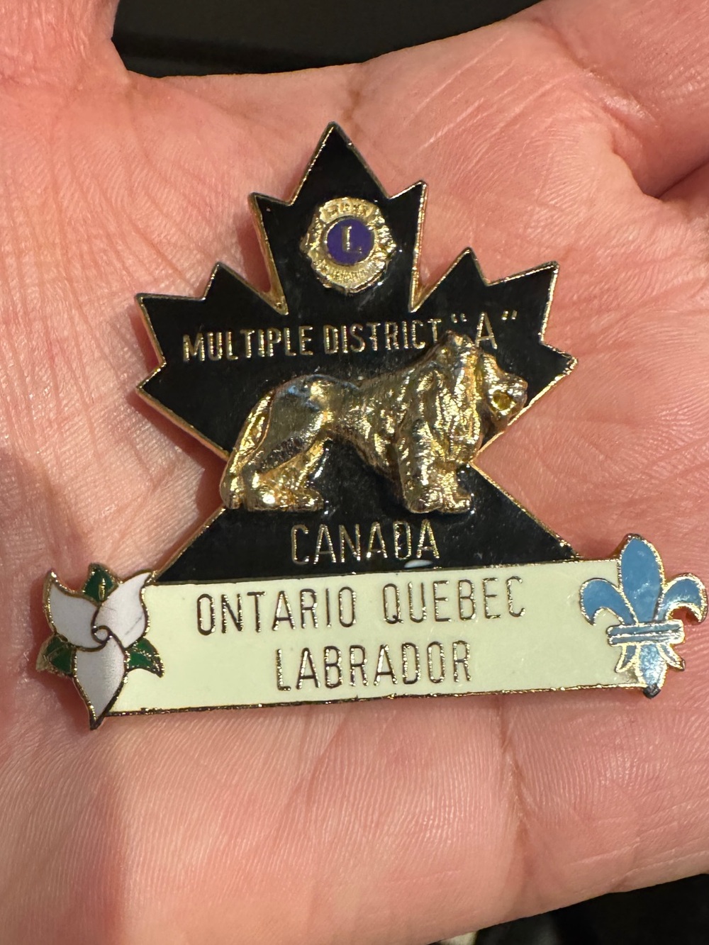 Canada Labrador Multiple District 'A' Maple Leaf Pin - Black & Gold - Picture 1 of 9